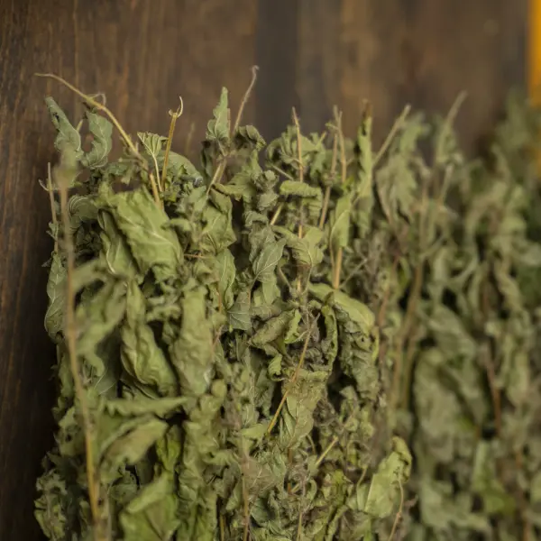 Травы для бани Woodson, мелисса