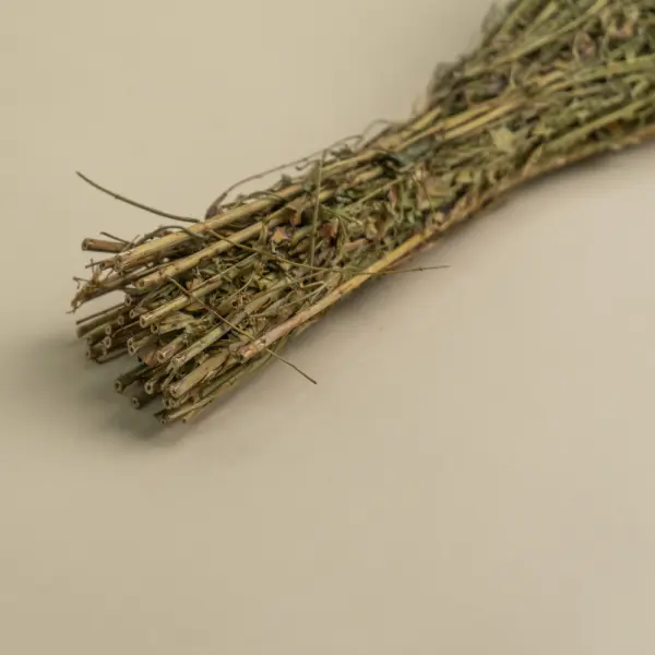 Травы для бани Woodson, зверобой