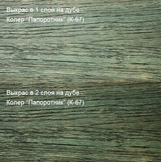Колер Папоротник (К-67) 100мл Колер Папоротник (К-67) 100мл